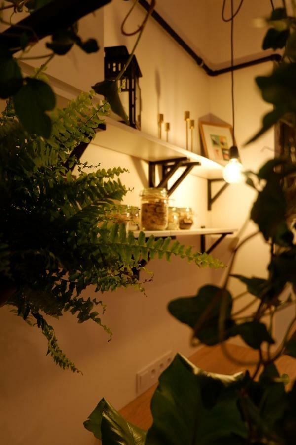 Singer Apartment Old Town Cracovie Extérieur photo