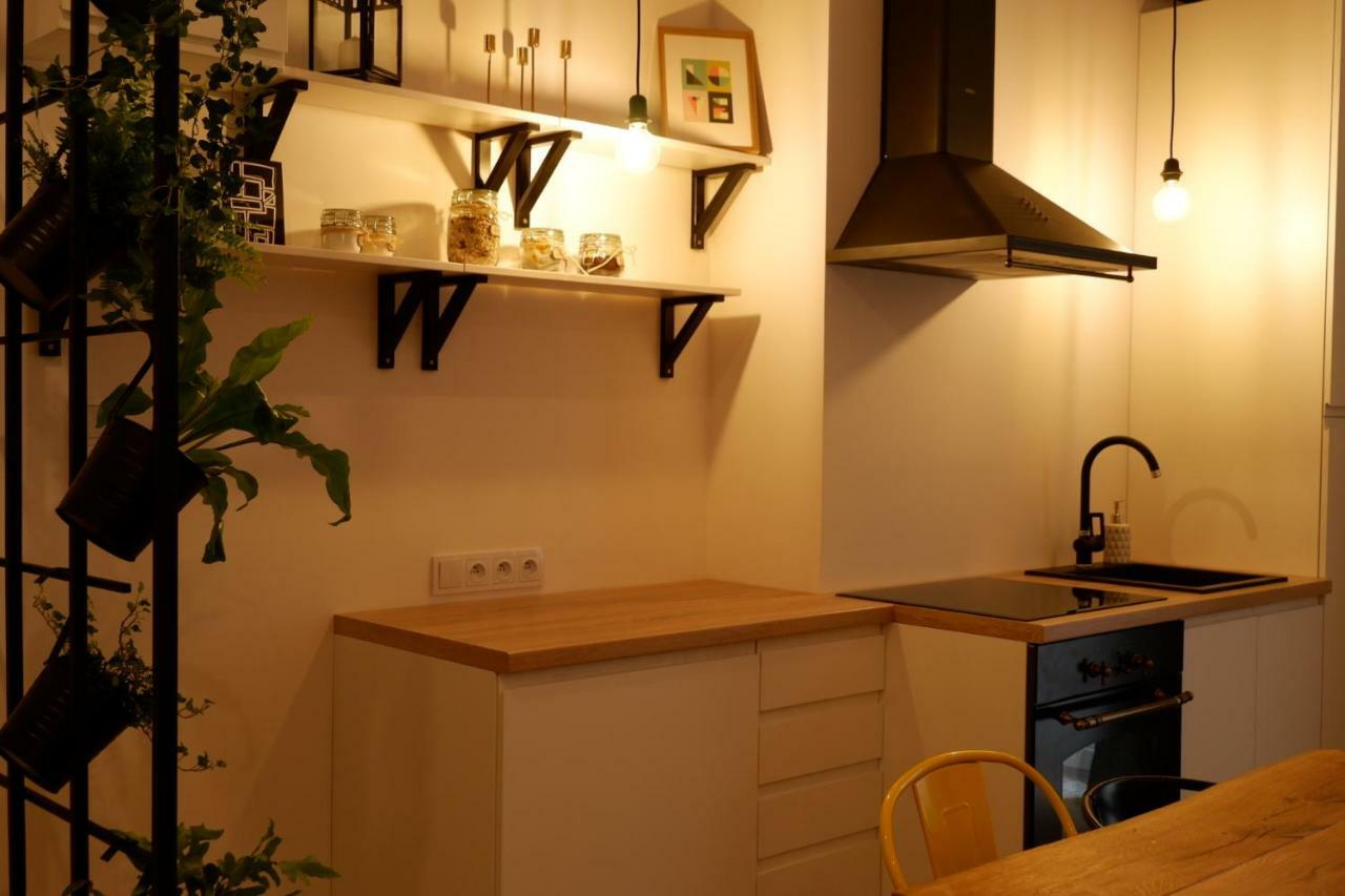 Singer Apartment Old Town Cracovie Extérieur photo